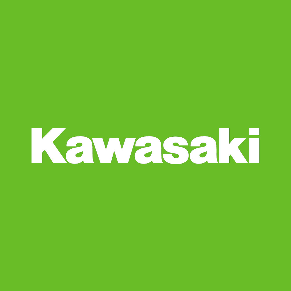 Kawasaki footpegs